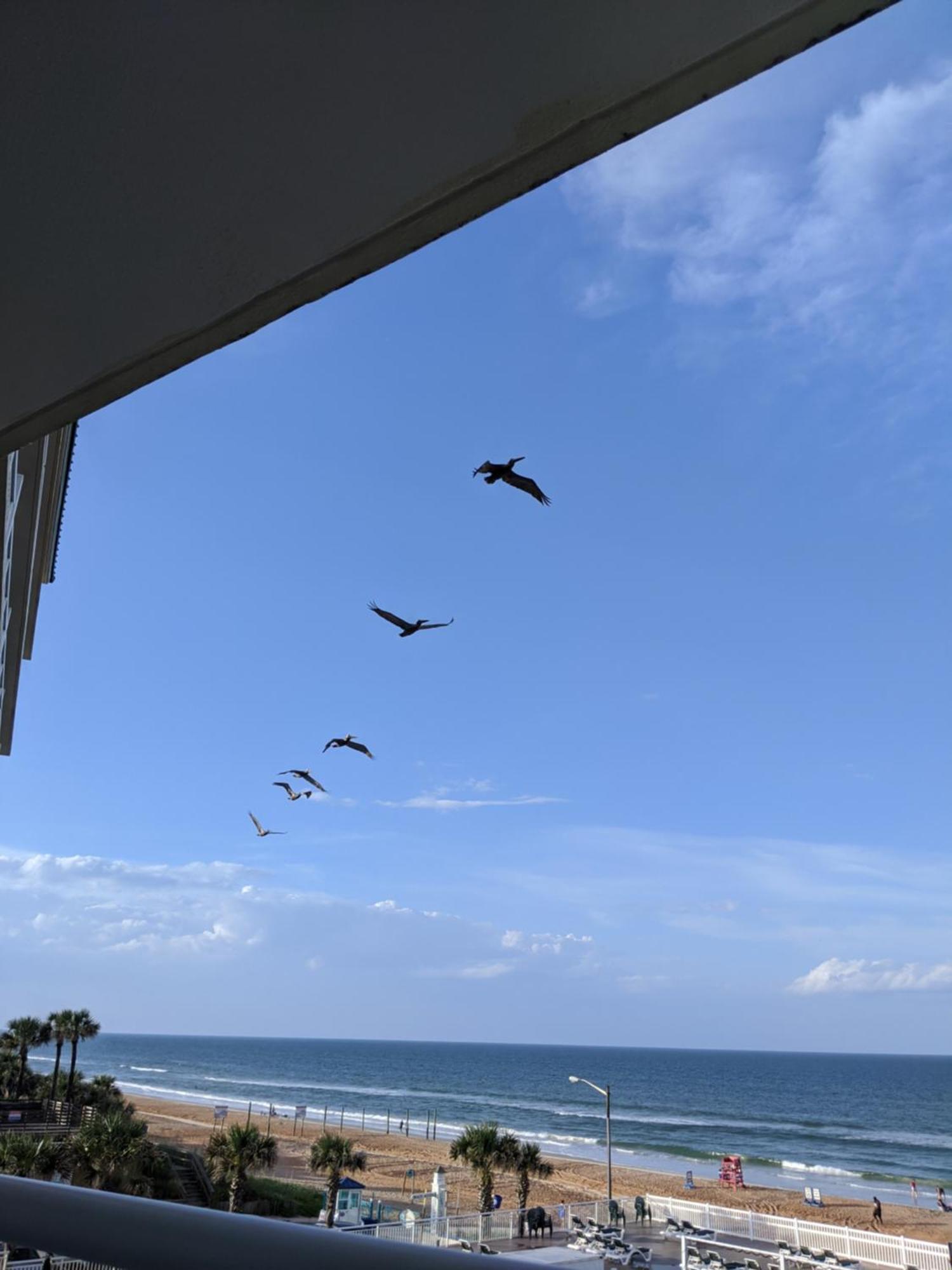 Royal Floridian Resort By Spinnaker Ormond Beach Kültér fotó